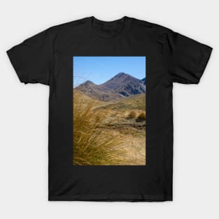 Golden tussock. T-Shirt